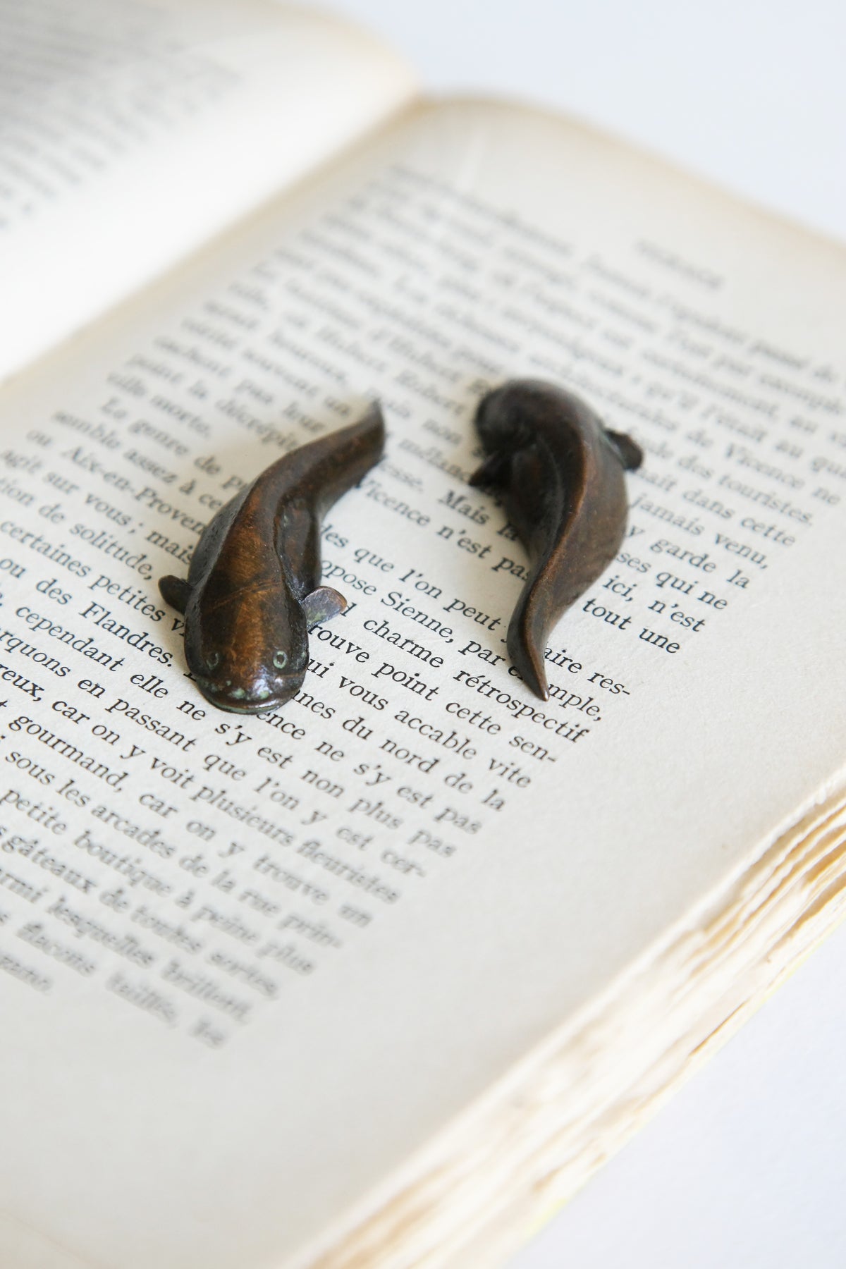 Pair of Chinese Bronze Carp