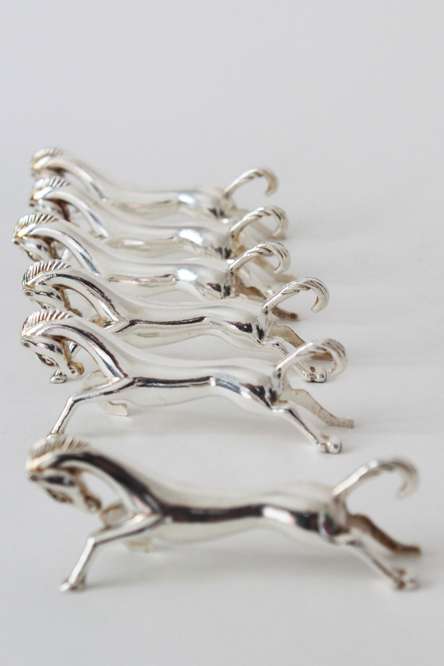 Chevaux repose-couverts