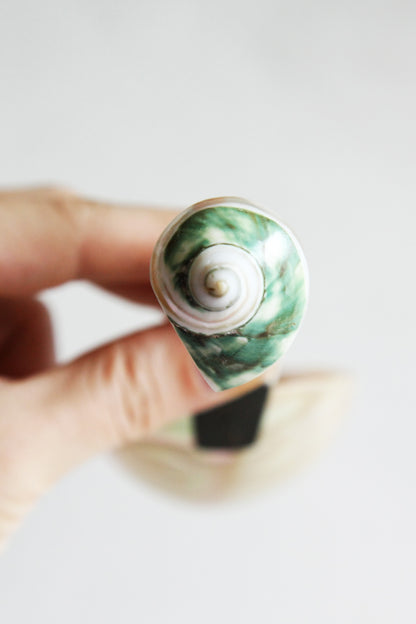 Grand cuillère à caviar en nacre