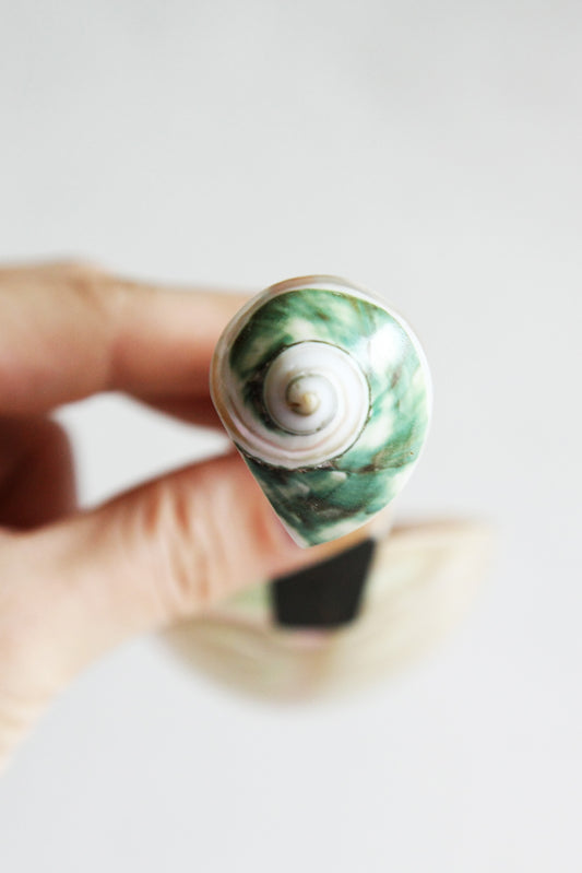 Grand cuillère à caviar en nacre